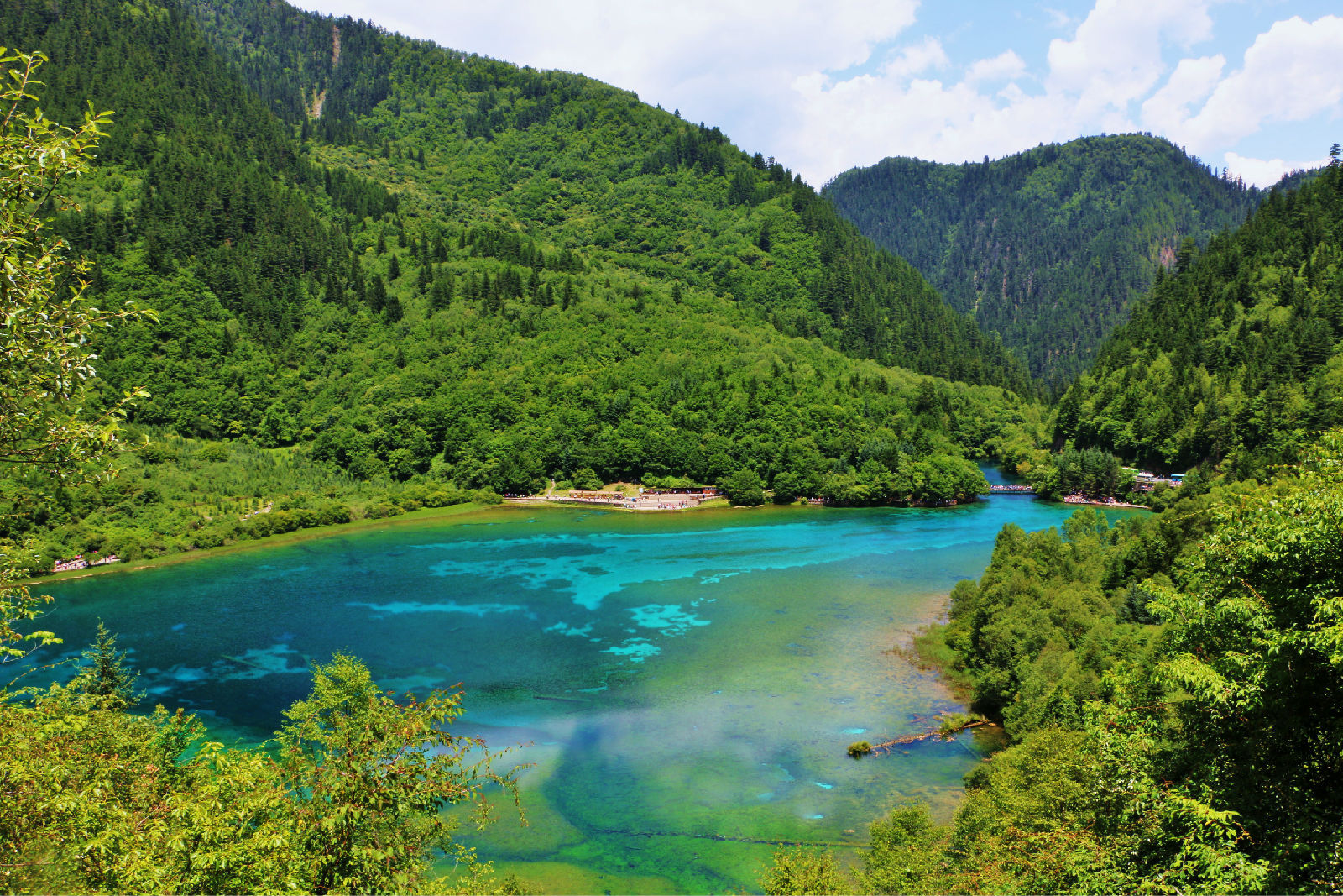 成都九寨沟黄龙 都江堰熊猫乐园 峨眉乐山大佛全景8天7晚