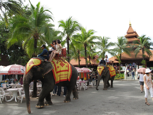 泰国曼谷+芭提雅《风情》双飞六日游 赠送风情园+骑大象 